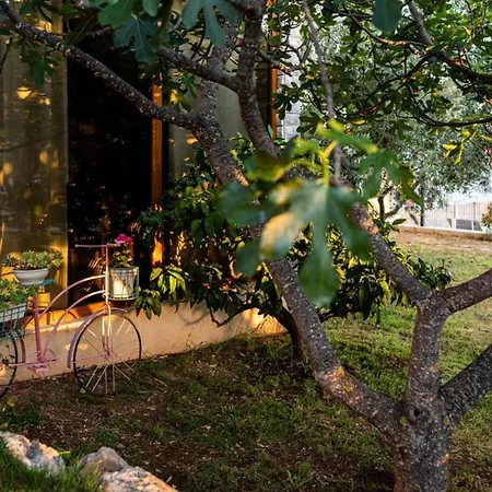 Holiday home House Cute Sibenik